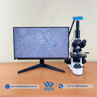 vttn-vuong-icc-1038-la-dau-tam (2).jpg